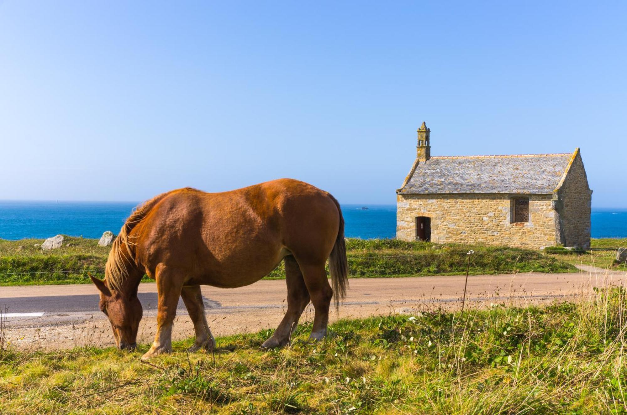 Ker Stivell - Superbe Maison Neuve A 2 Pas De La Mer Landunvez Exterior photo